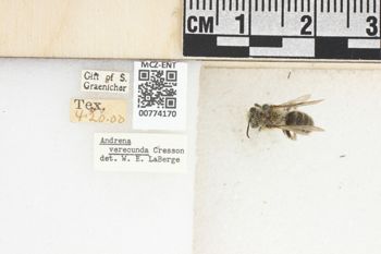 Media type: image;   Entomology 774170 Aspect: Labels